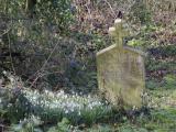 image of grave number 795243